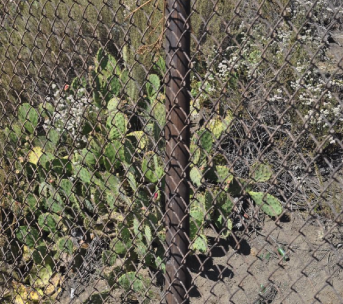 Highway Chain-link and Toad Fence with Natina Steel Solution - Natina  Portfolio