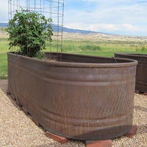 Steel Tank Natural Colorant by Natina Products
