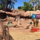 Natina Steel Staining Solutions at Phoenix Zoo