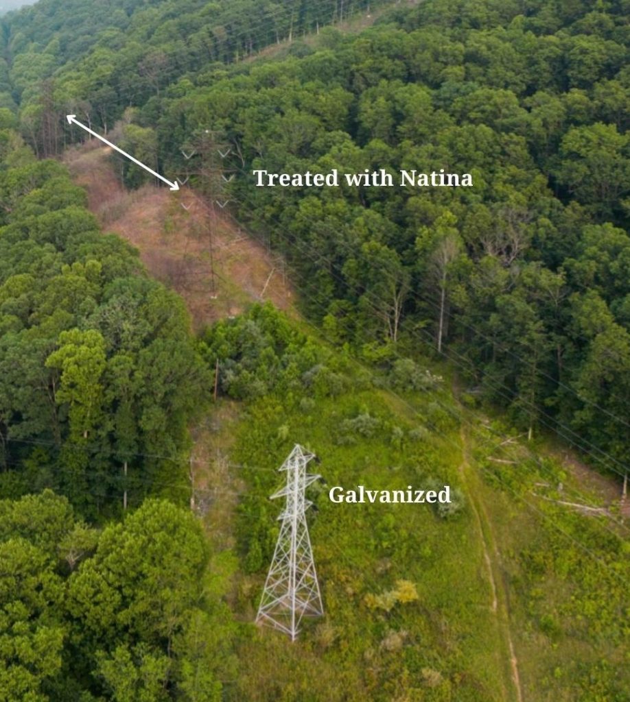 Aerial view comparing lattice towers treated with Natina. 