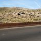 Desert infrastructure design with natural color treatment