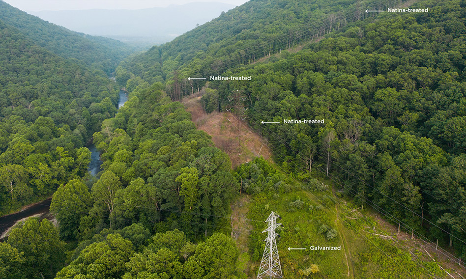 Natina treated lattice towers in Virginia