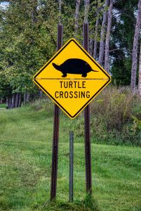 Roadside turtle crossing sign alerting drivers to wildlife crossing activity.