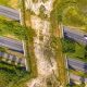Aerial view of a vegetated wildlife crossing over a divided highway.